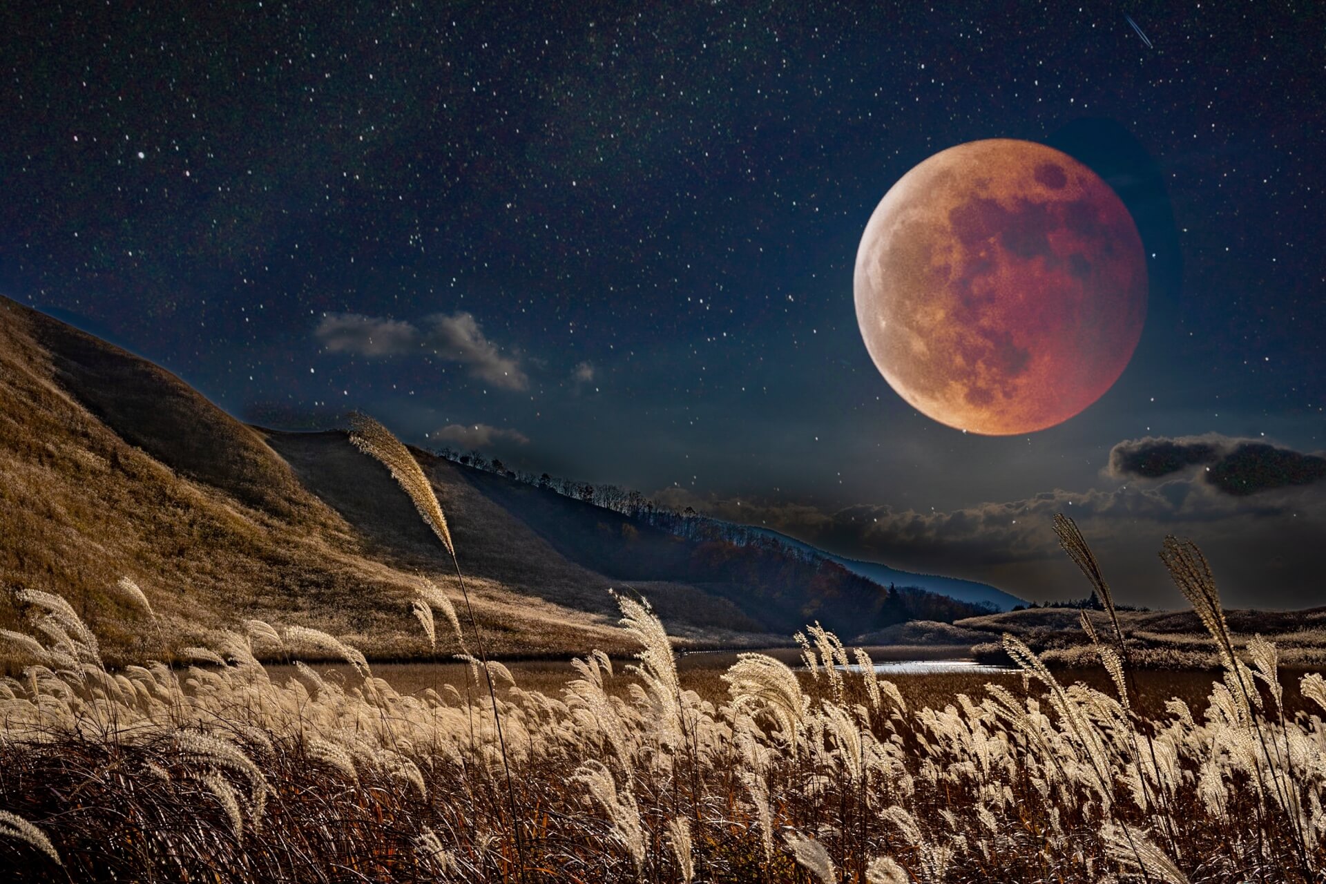 クロちゃんの新しい彼女は誰？水曜日のダウンタウンの年末ドッキリ？