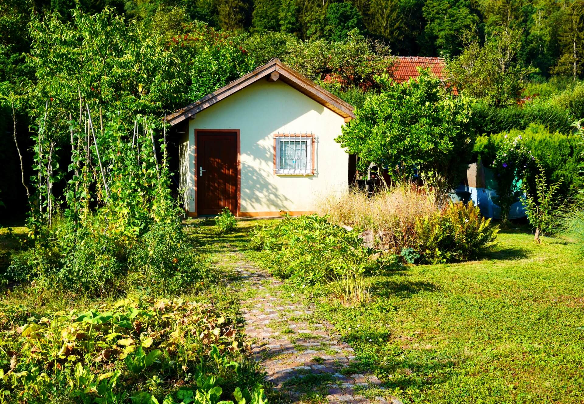 林マヤの現在　今何してる？茨城県に移住しスローライフ生活を満喫