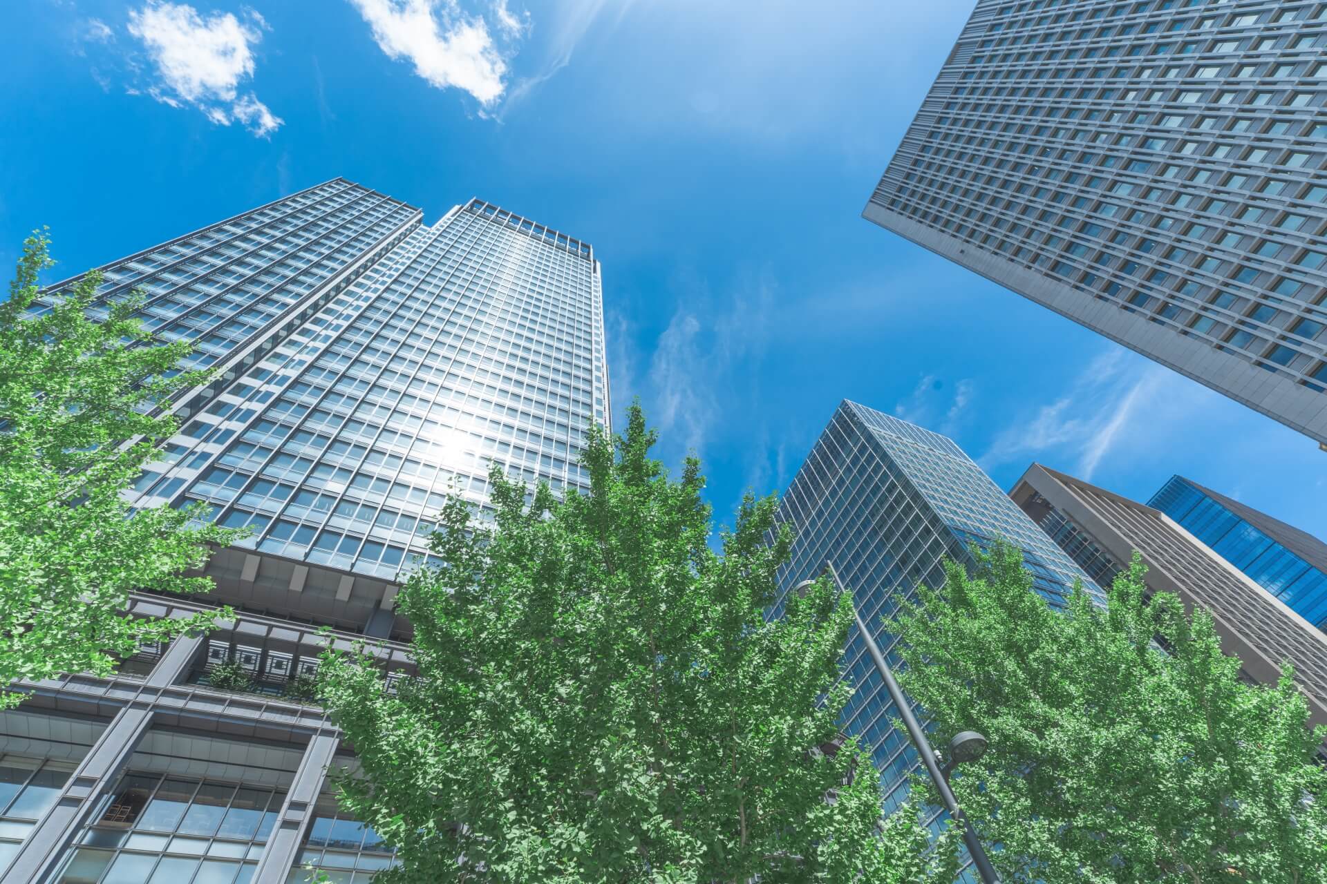 ダウンタウンプラス なぜ浜田は出ない？出演できない理由とは？