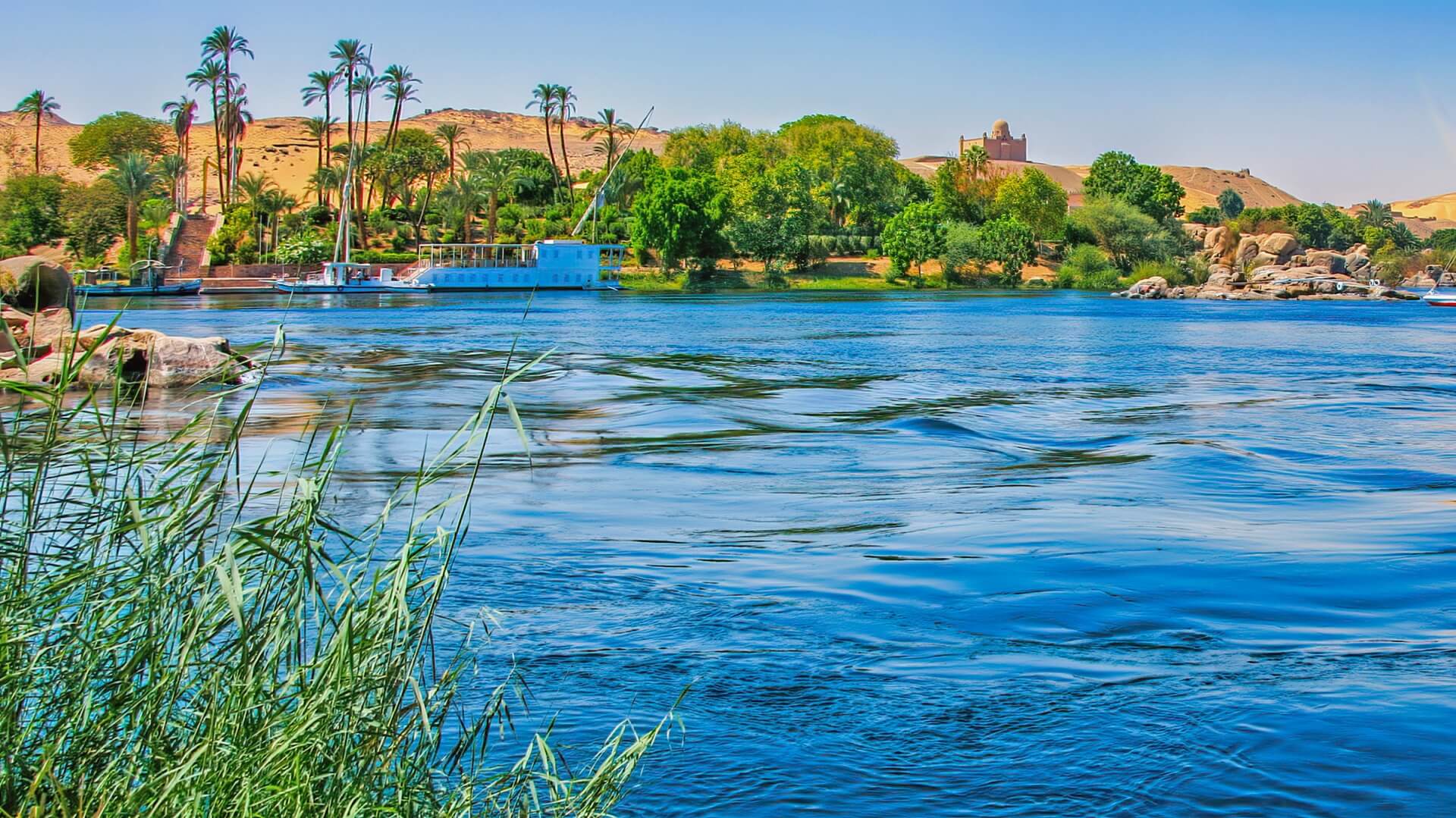 デヴィ夫人はイッテQを降板した？なぜ出ない？