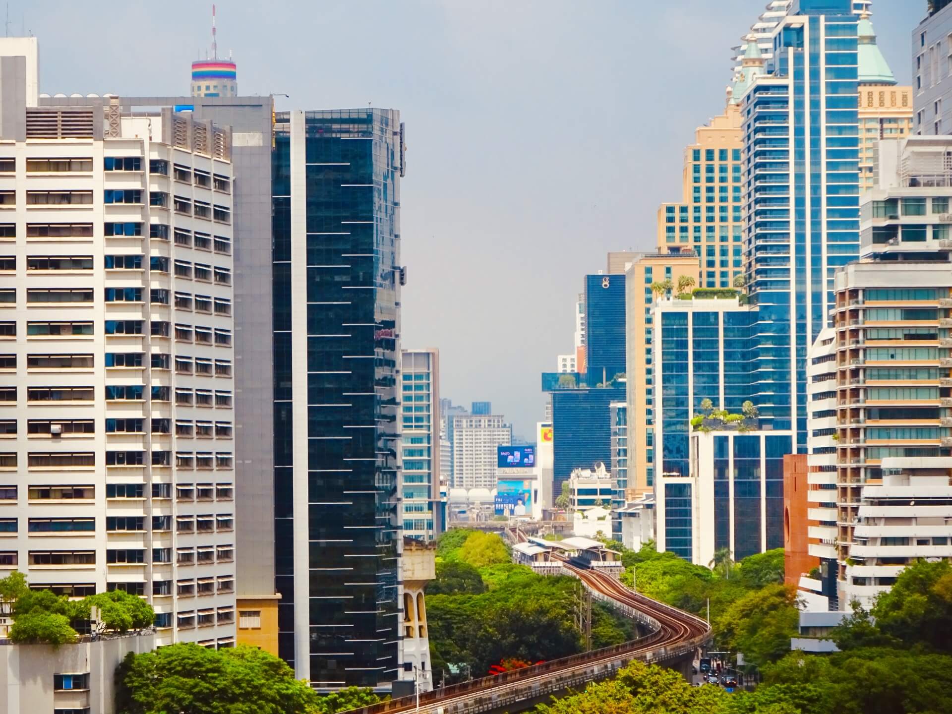 マイダリンはハーフ？