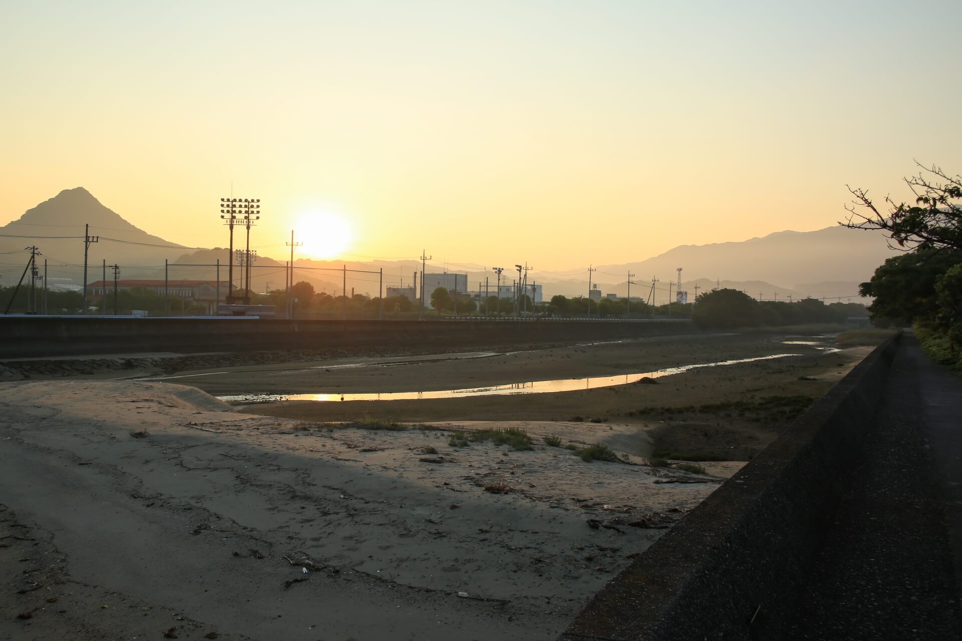 WBC2026　ヌートバーとエドマンは出ない？出場しない理由とは？