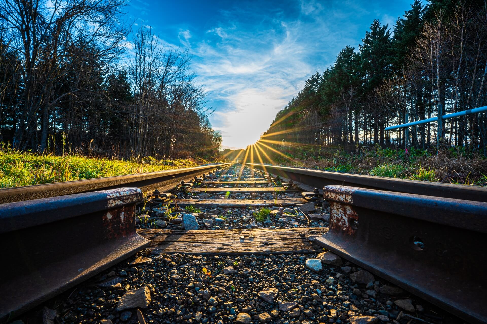 ウナギ・サヤカの不倫相手は誰？