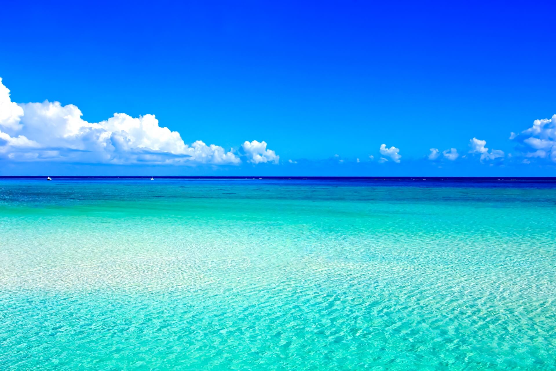 スピードワゴン小沢の現在