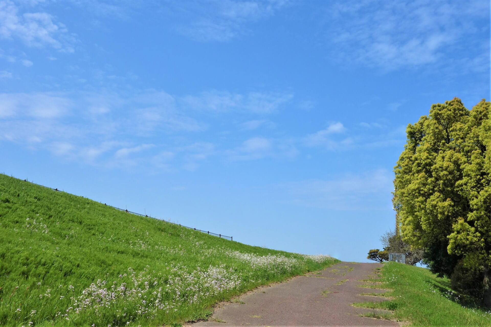 バナナマン日村　どうした？何があった？