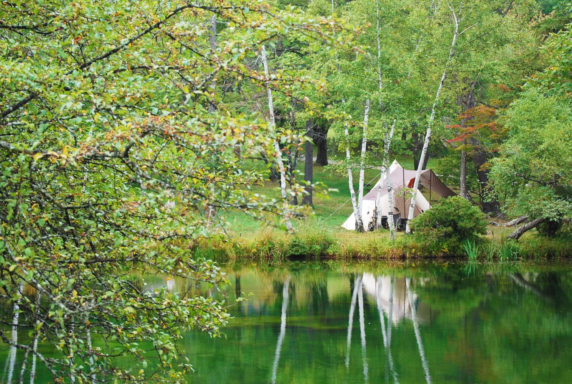 日本エレキテル連合の現在の仕事は？今何してる？消えた理由とは？