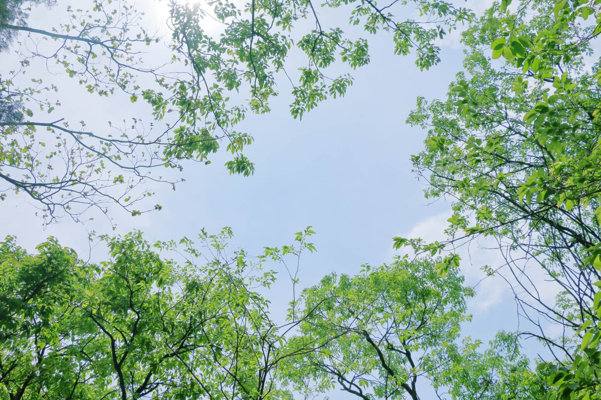 次長課長　井上の現在の仕事は？今何してる？なぜテレビに出ないのか？