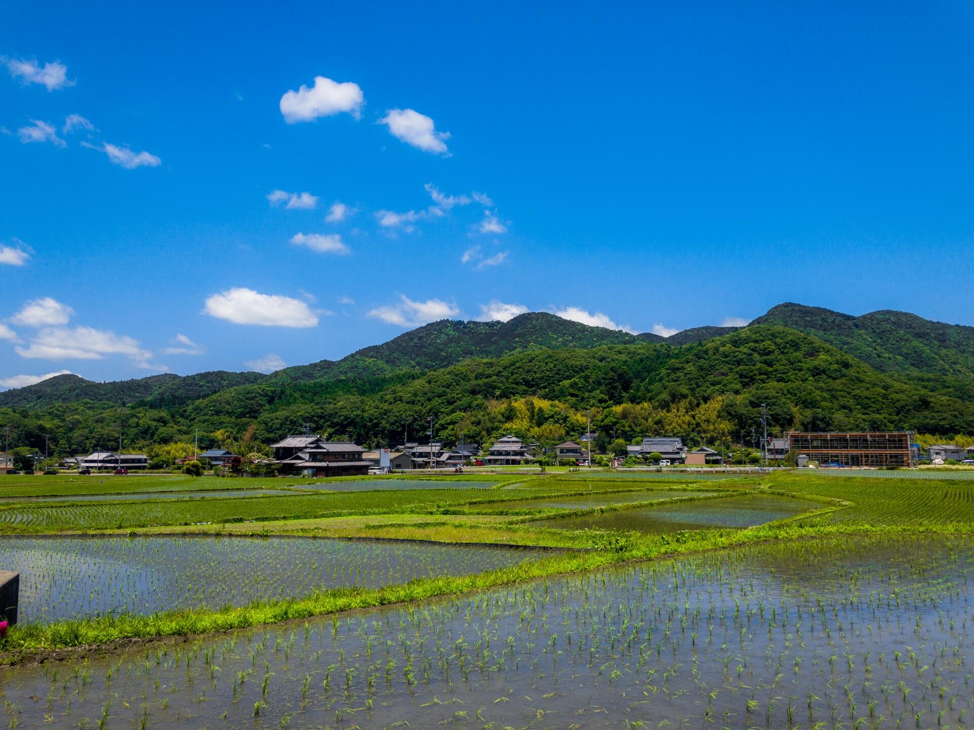 フジモン　ジブリって何？元ネタは？