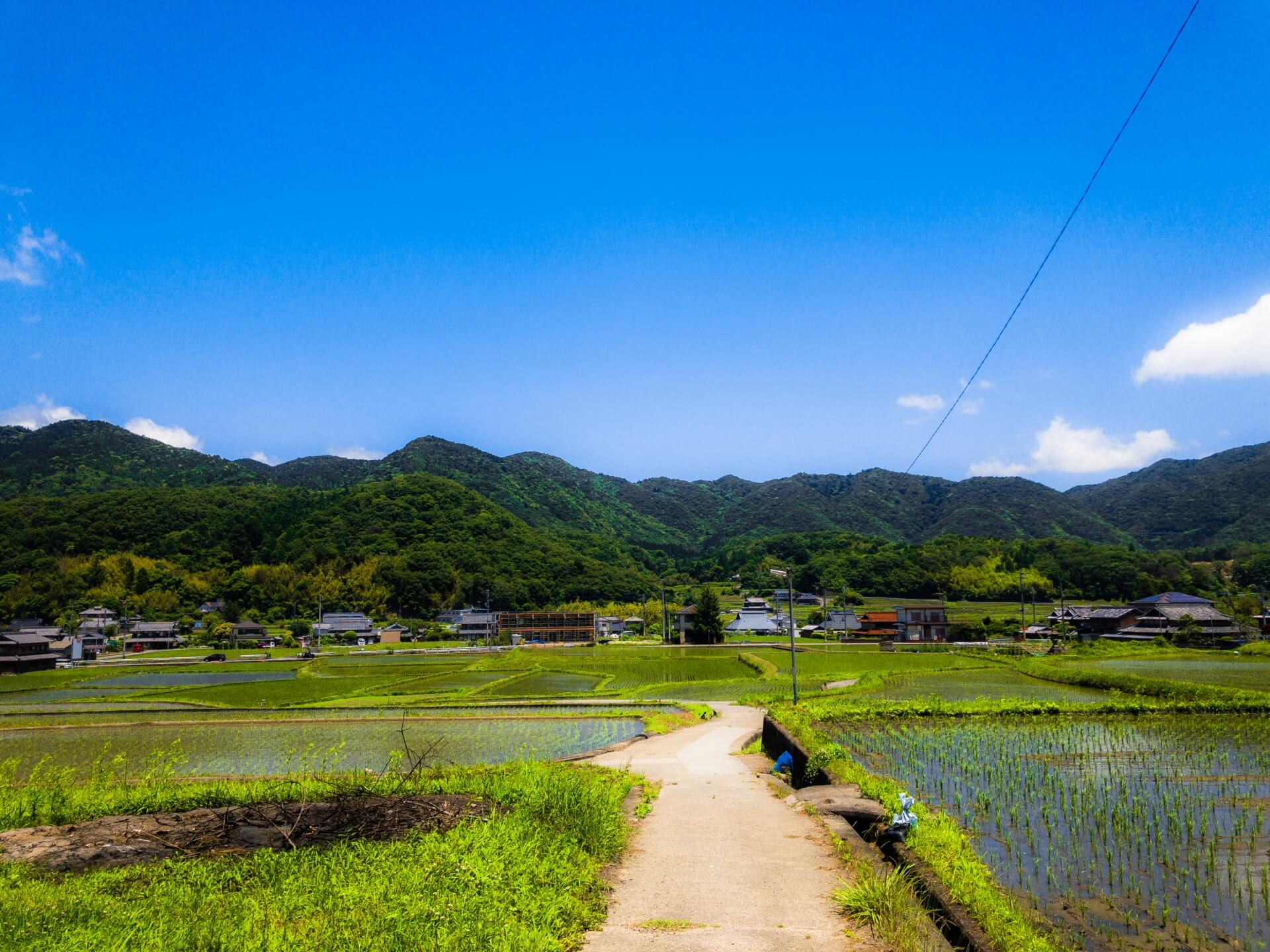 鉄腕DASHメンバー　現在の正式メンバーは誰？準レギュラーは？