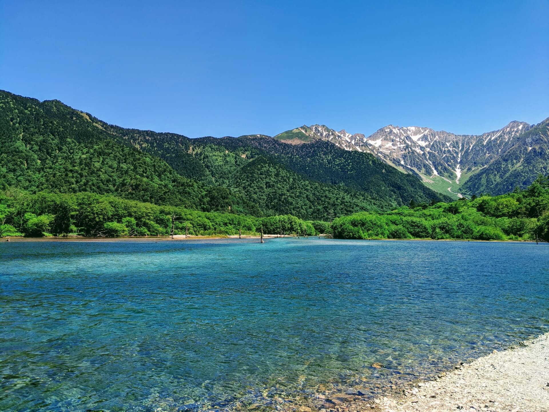 ふくらPと高山一実に何があった？交際期間はどれくらいで結婚した？