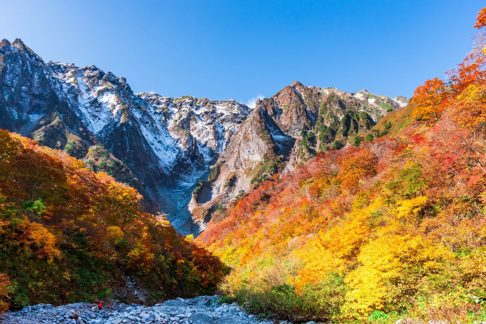 光宗薫はなぜ絵が上手いのか？突然テレビから消えた理由とは？