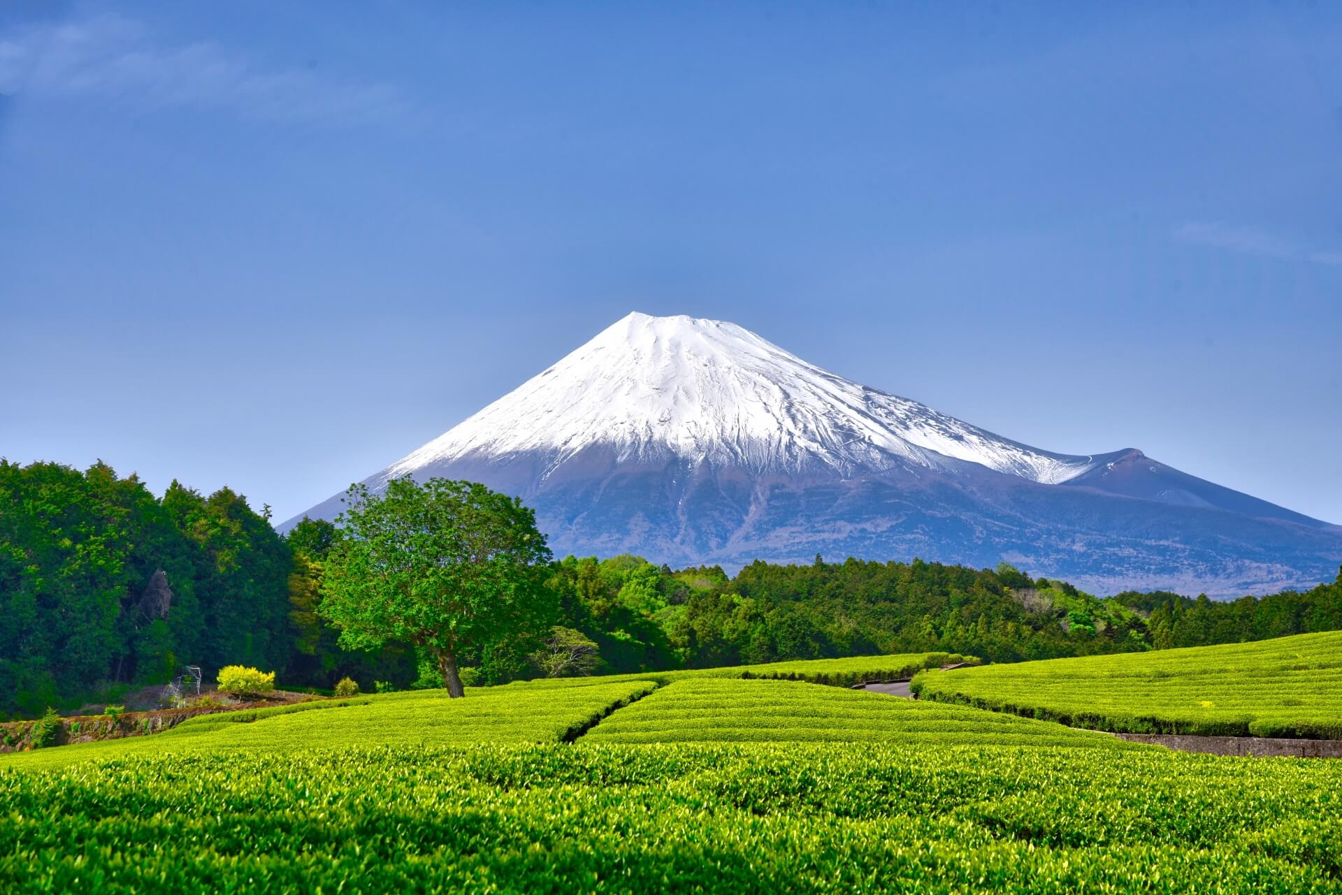 鈴木おさむ なぜ引退したのにまだやってる？引退理由は？