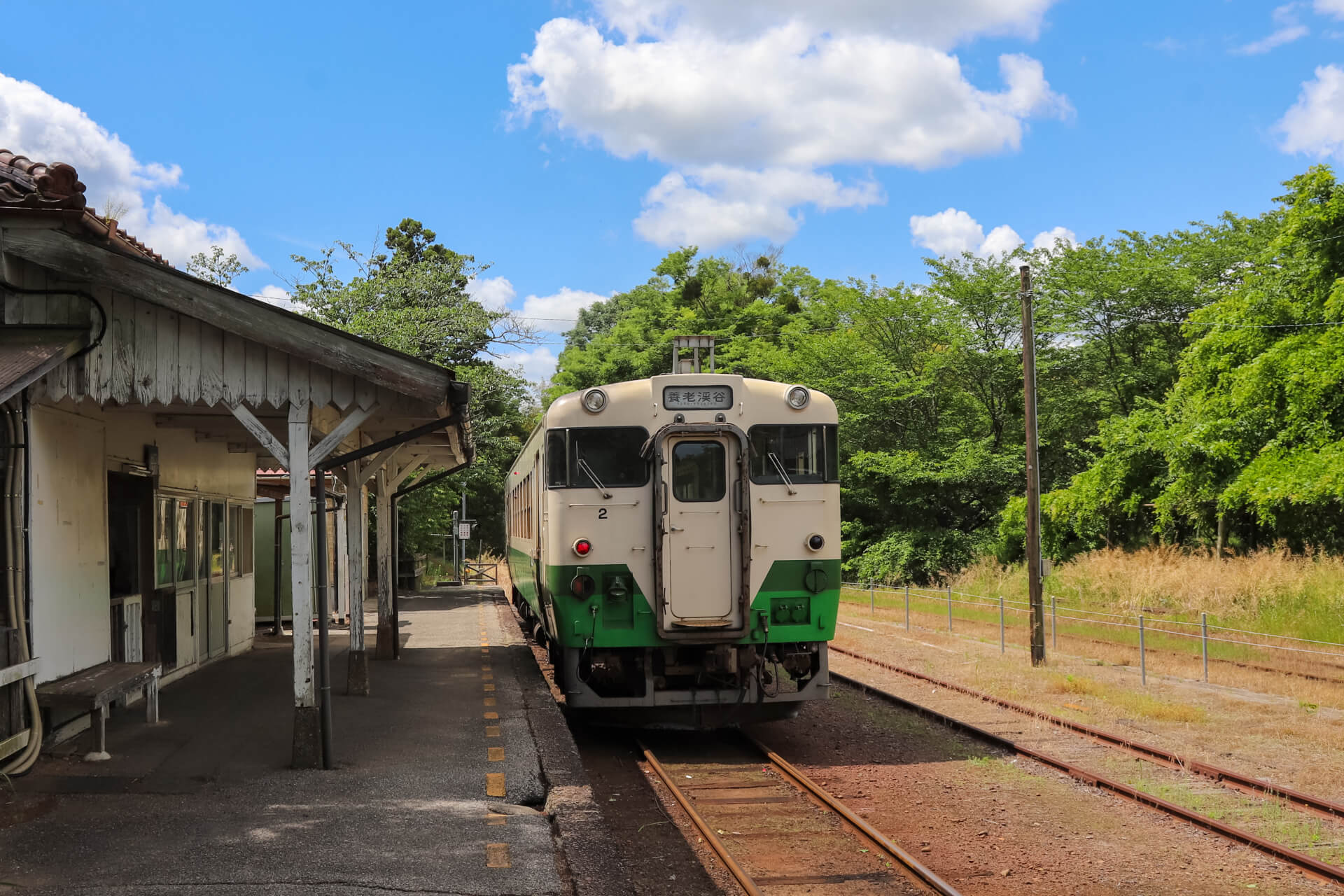 市川紗椰はなぜ鉄道好き？ニワカ？オタク？松井玲奈とどっちがスゴイ？