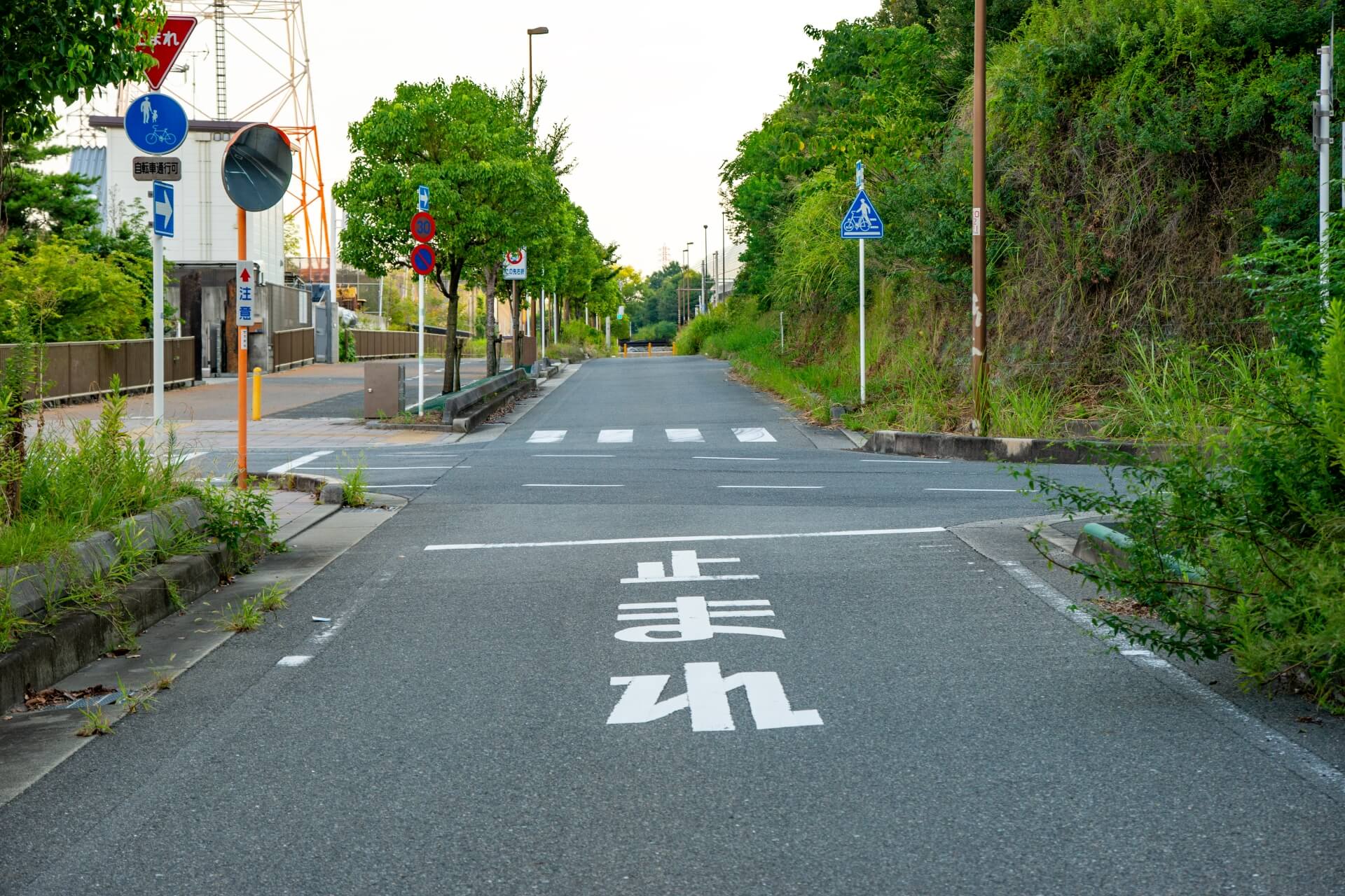 天竺鼠・瀬下豊は何した？不倫報道から復帰まで時系列